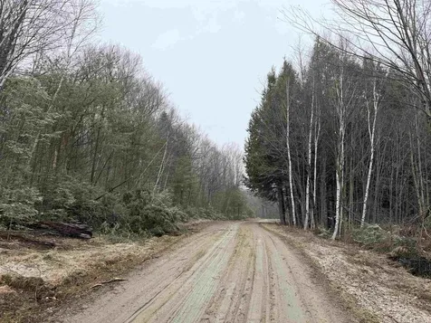 Forrester Road Jamaica VT 05343