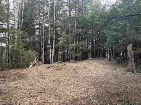 Forrester Road Jamaica VT 05343