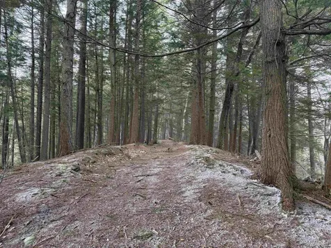 Forrester Road Jamaica VT 05343