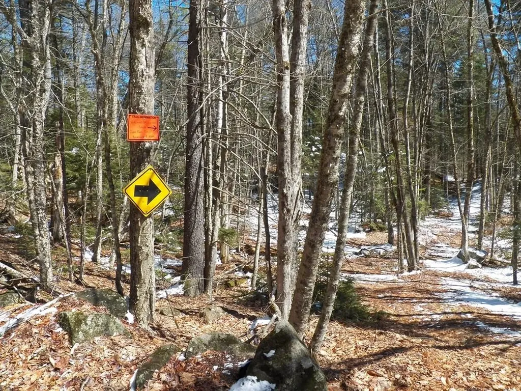 15-50 Faxon Hill Road Washington NH 03280