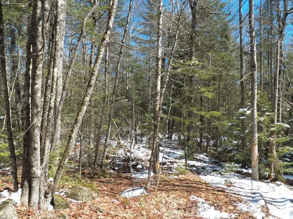 15-50 Faxon Hill Road Washington NH 03280