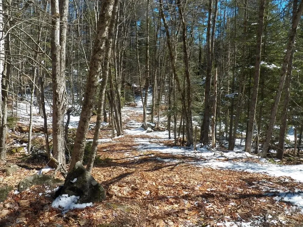 15-50 Faxon Hill Road Washington NH 03280