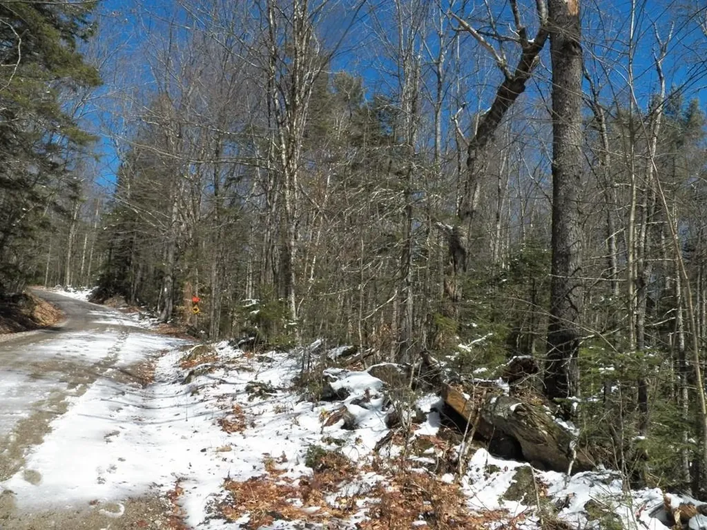 15-50 Faxon Hill Road Washington NH 03280