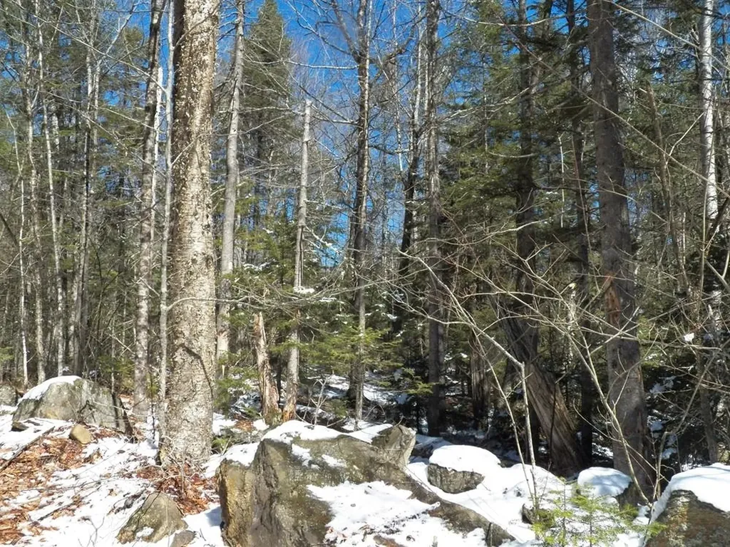 15-50 Faxon Hill Road Washington NH 03280