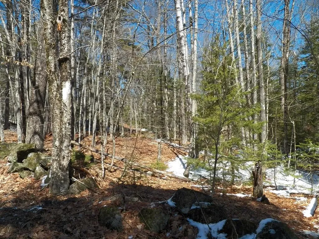 15-50 Faxon Hill Road Washington NH 03280