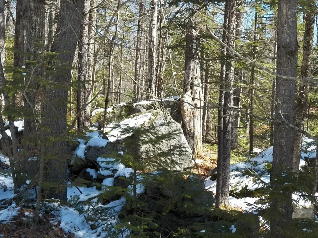 15-50 Faxon Hill Road Washington NH 03280