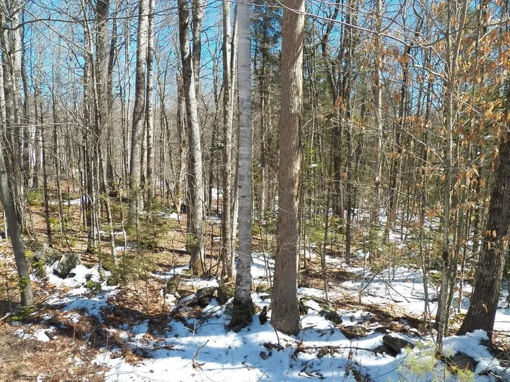 15-50 Faxon Hill Road Washington NH 03280
