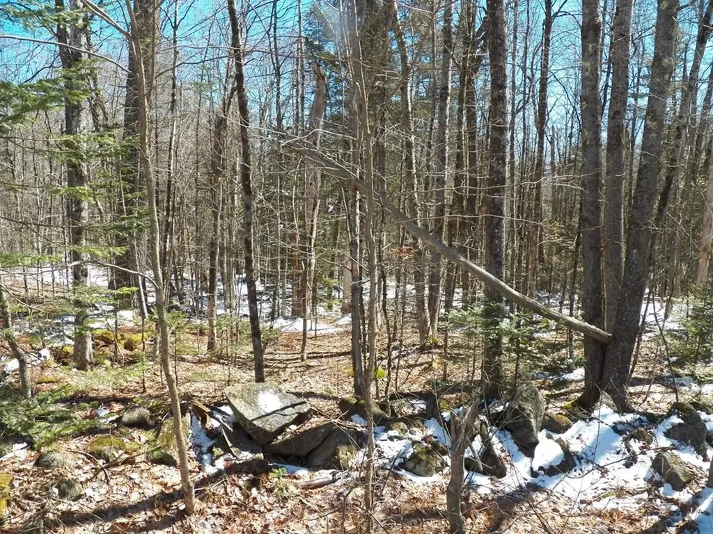 15-50 Faxon Hill Road Washington NH 03280