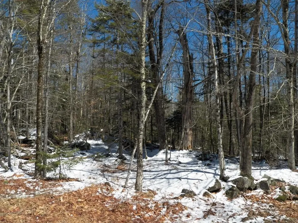 15-50 Faxon Hill Road Washington NH 03280