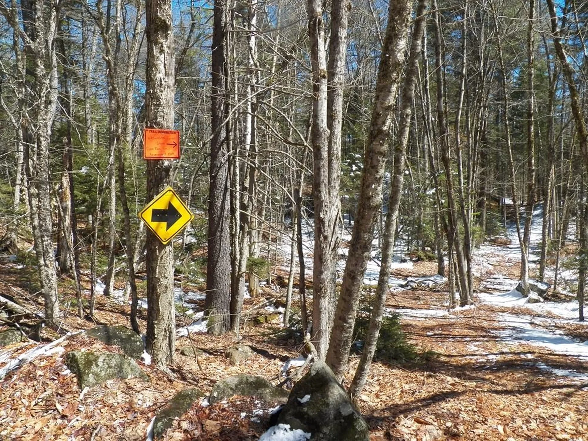 15-50 Faxon Hill Road Washington NH 03280
