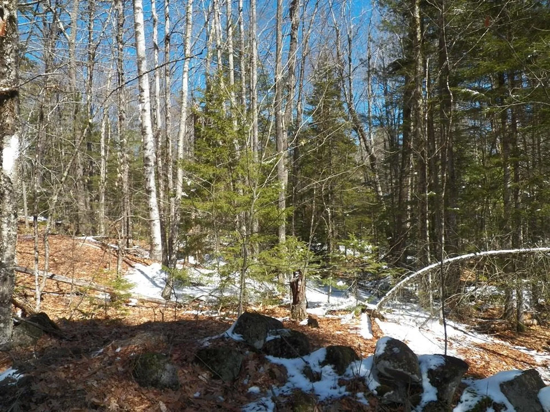15-50 Faxon Hill Road Washington NH 03280