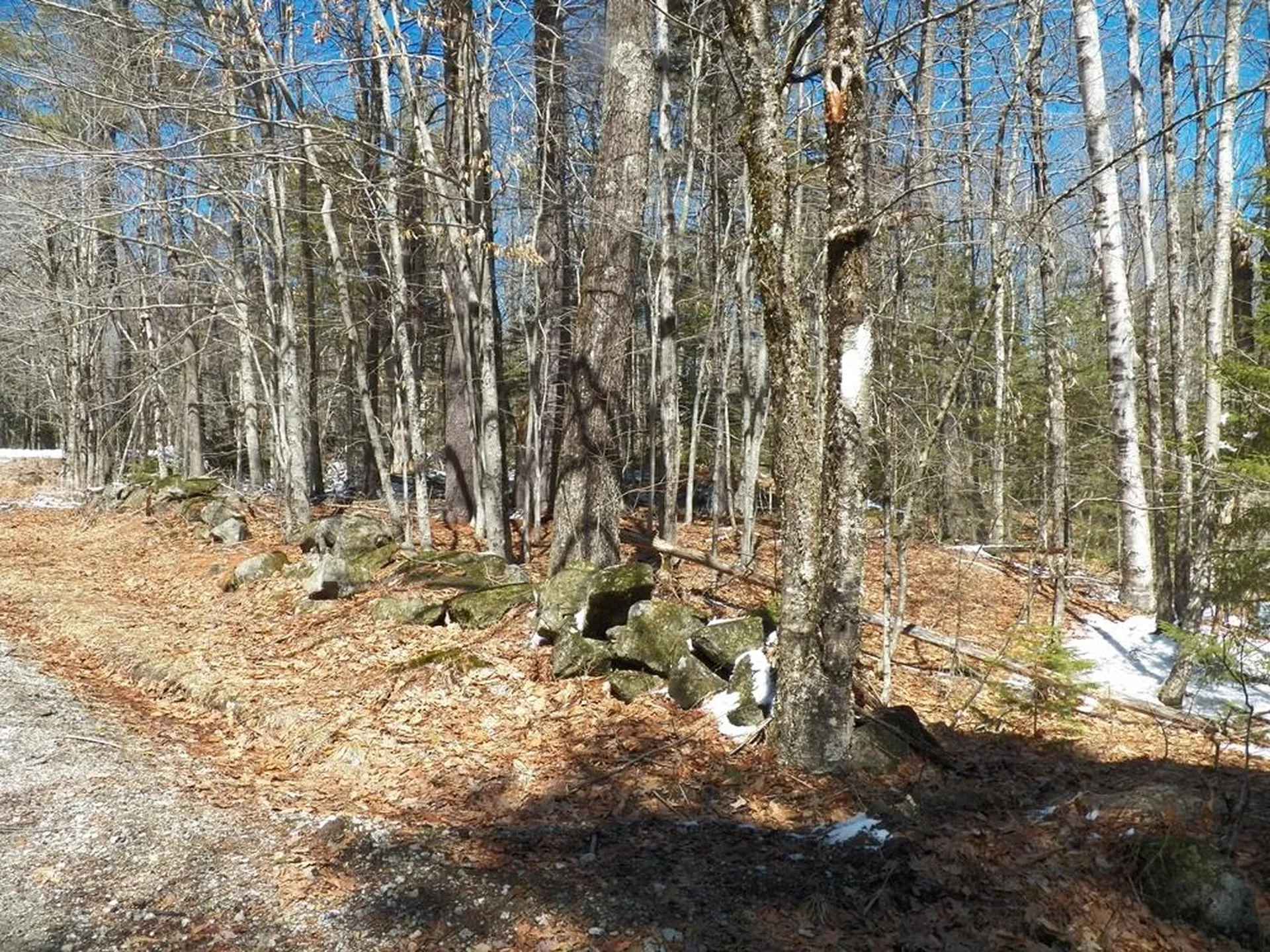 15-50 Faxon Hill Road Washington NH 03280