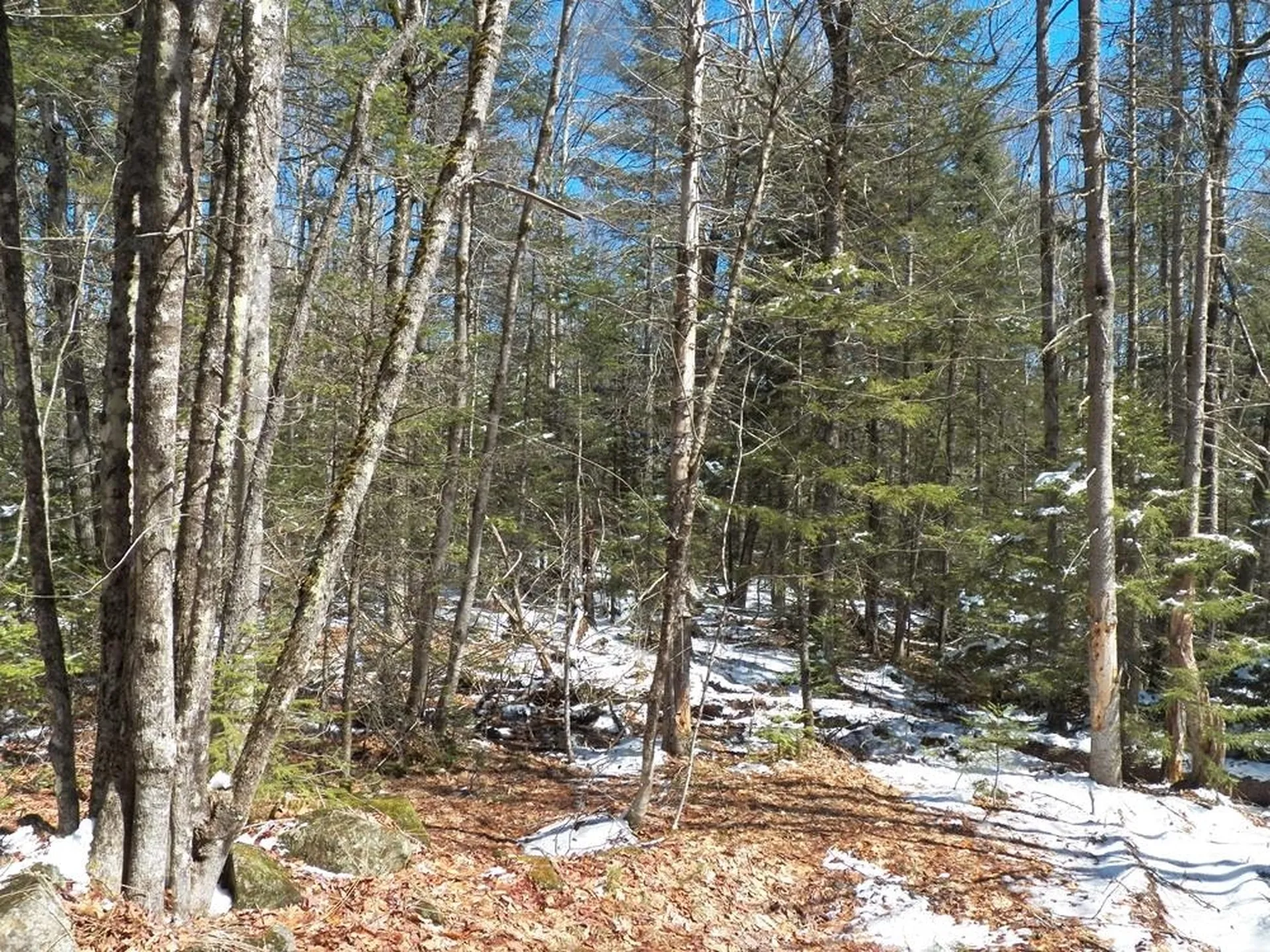 15-50 Faxon Hill Road Washington NH 03280