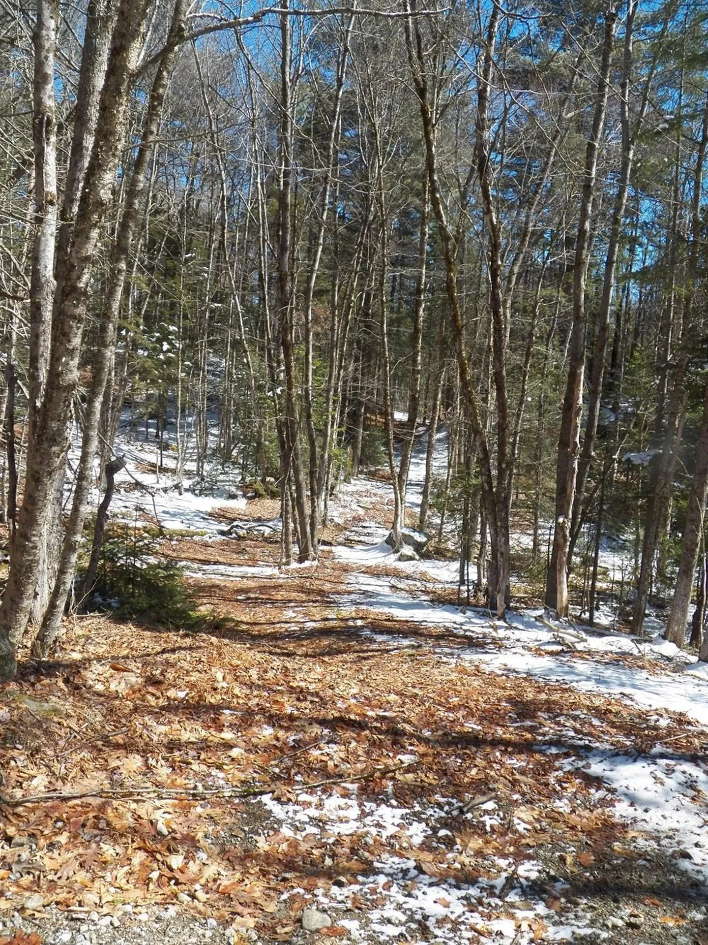 15-50 Faxon Hill Road Washington NH 03280