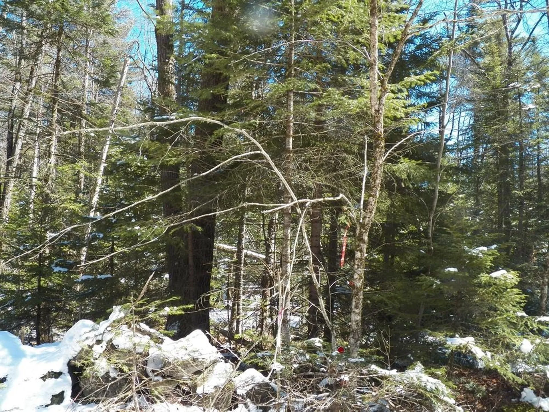 15-50 Faxon Hill Road Washington NH 03280