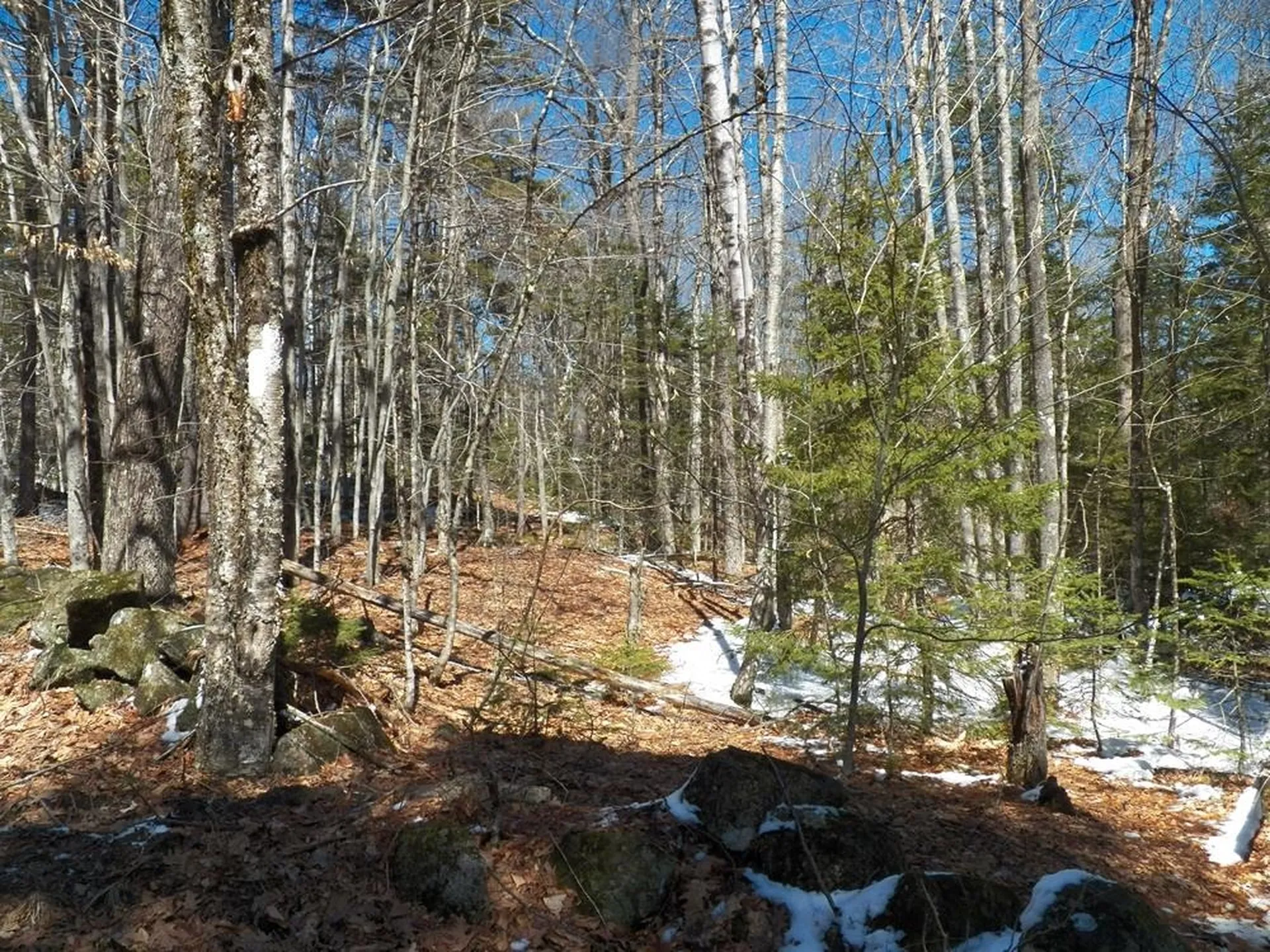 15-50 Faxon Hill Road Washington NH 03280