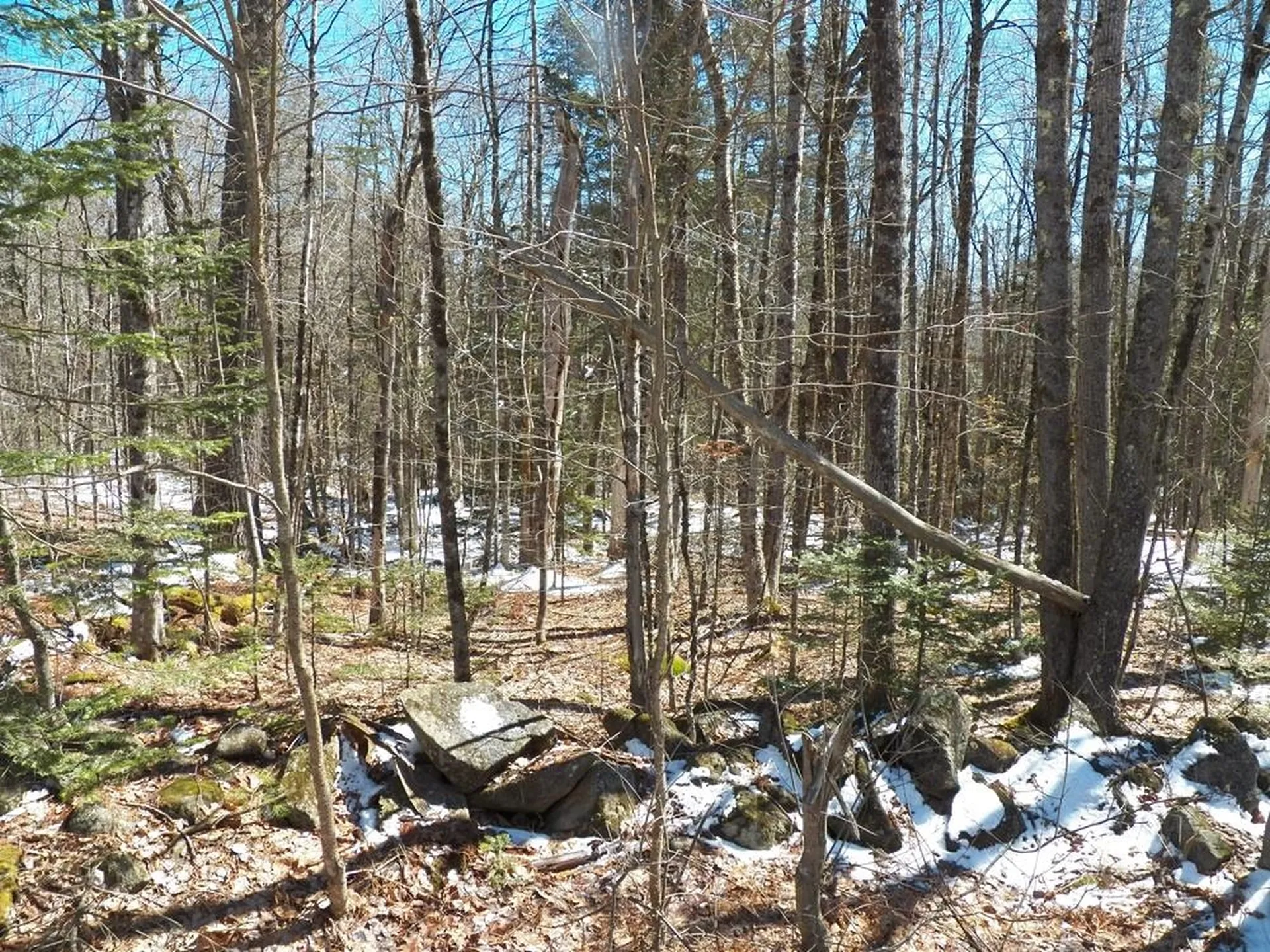 15-50 Faxon Hill Road Washington NH 03280