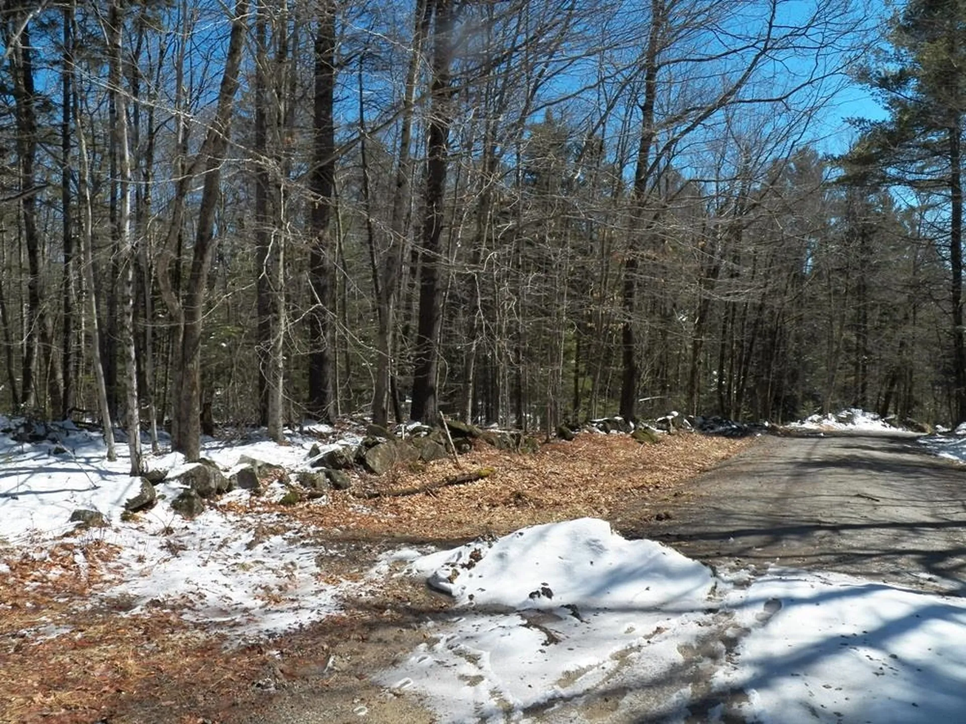 15-50 Faxon Hill Road Washington NH 03280
