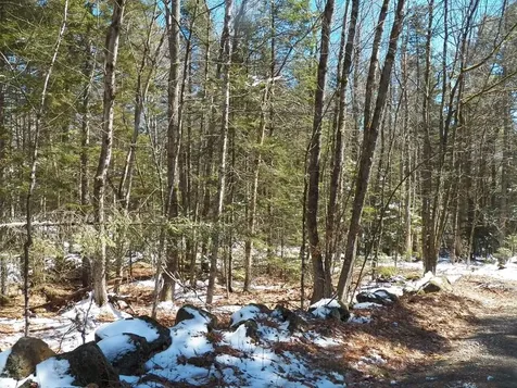 15-50 Faxon Hill Road Washington NH 03280