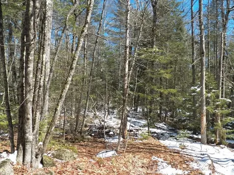 15-50 Faxon Hill Road Washington NH 03280