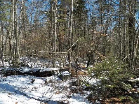 15-50 Faxon Hill Road Washington NH 03280