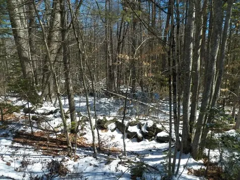 15-50 Faxon Hill Road Washington NH 03280