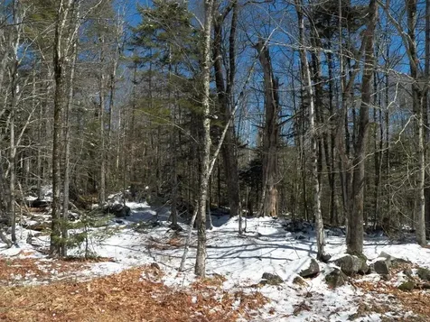 15-50 Faxon Hill Road Washington NH 03280
