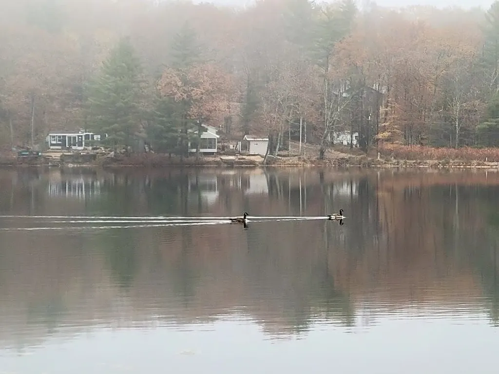 54 Canterbury Shore Drive Canterbury NH 03224