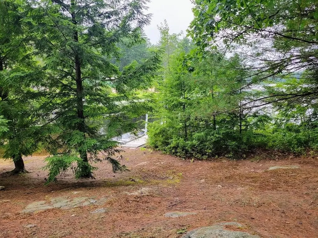 54 Canterbury Shore Drive Canterbury NH 03224