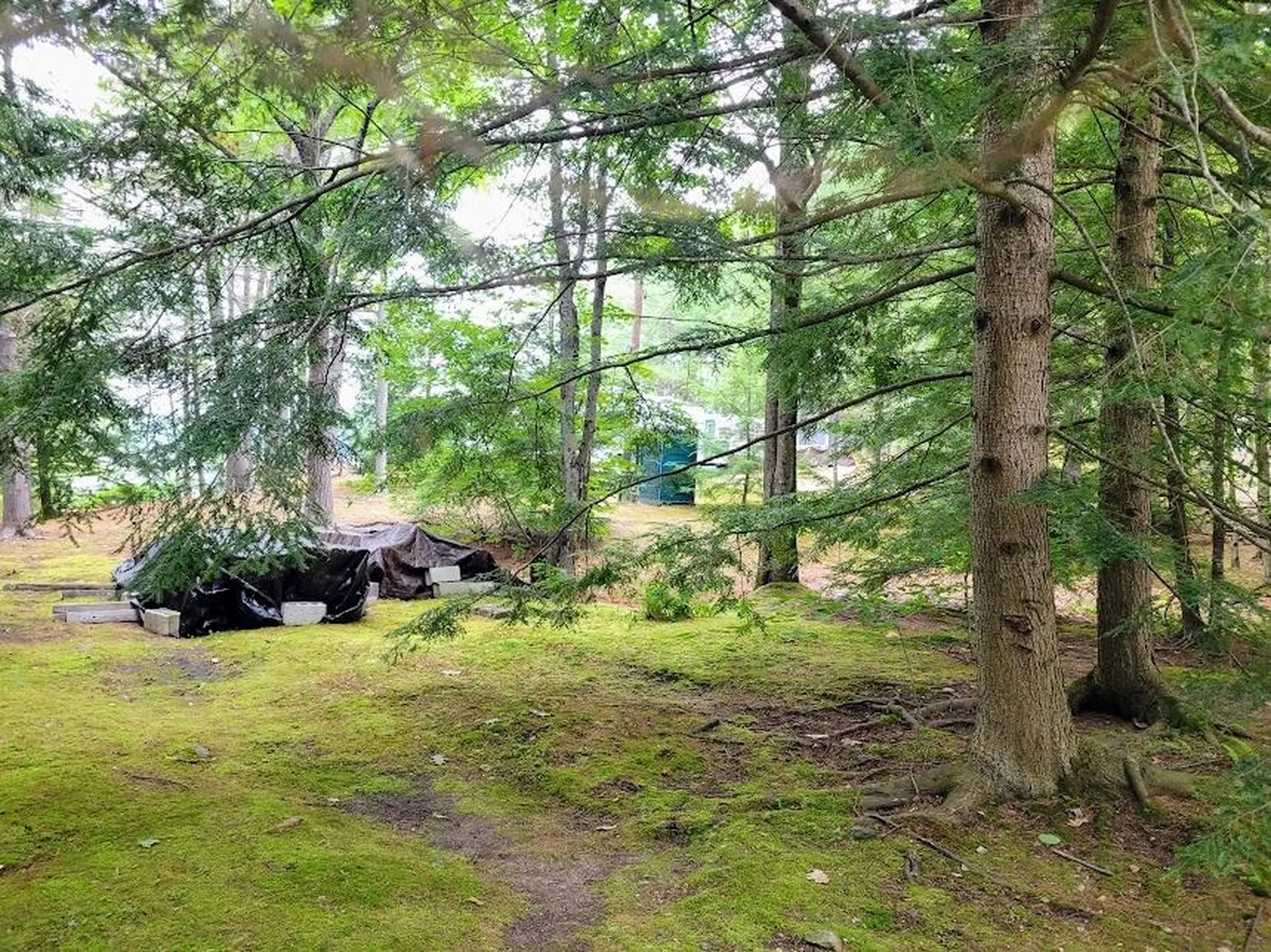 54 Canterbury Shore Drive Canterbury NH 03224