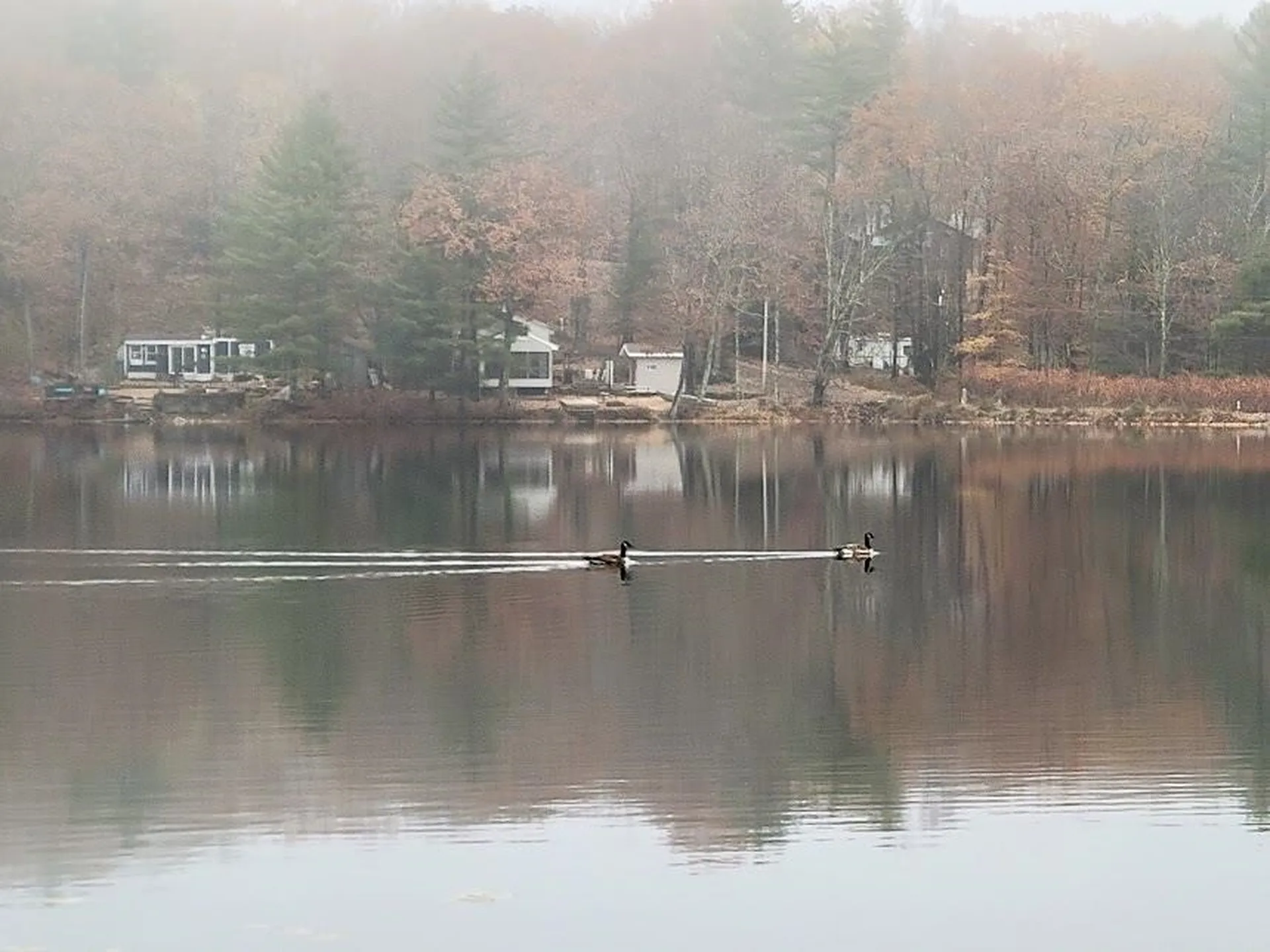 54 Canterbury Shore Drive Canterbury NH 03224