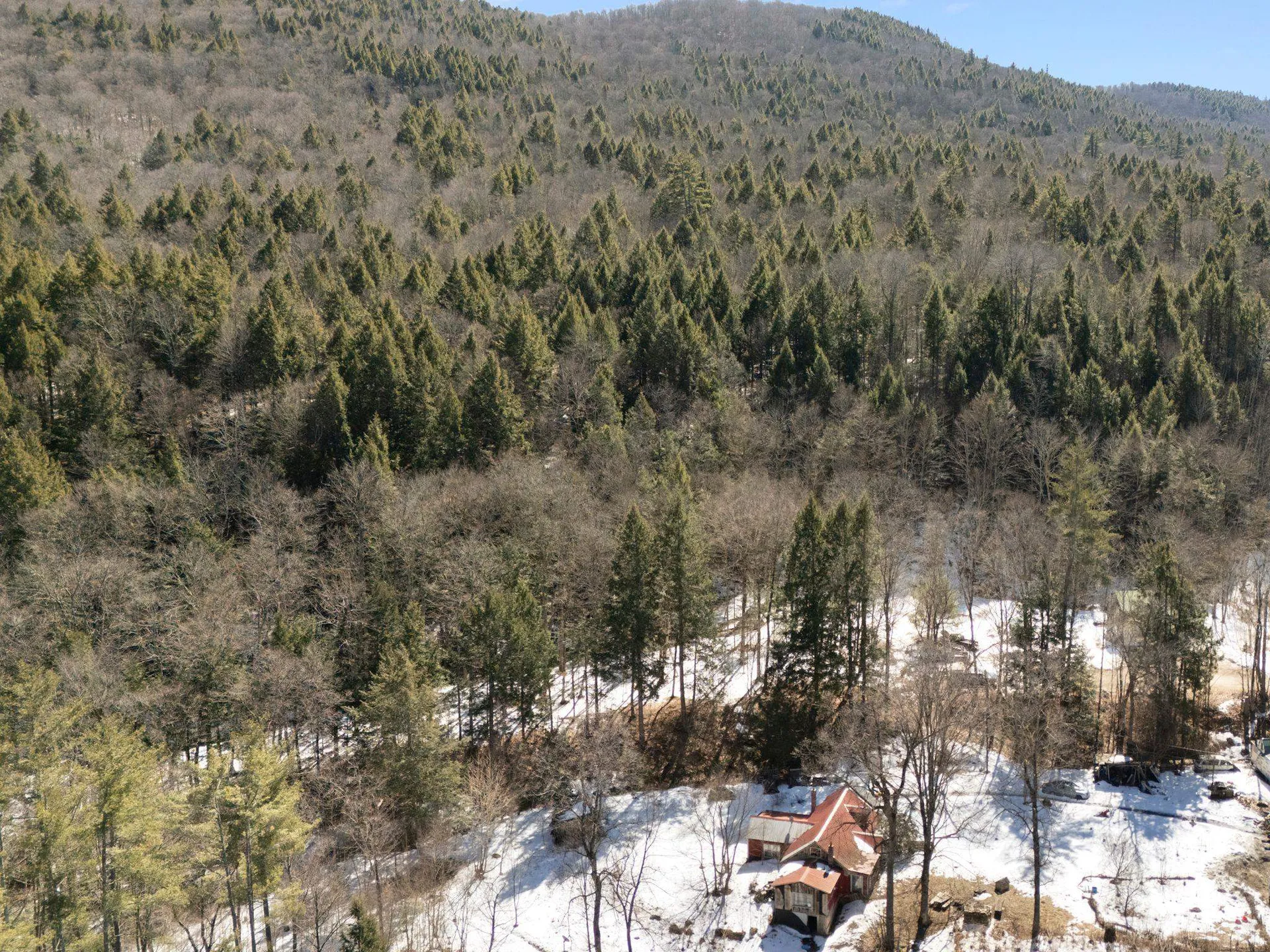 206 Smith Road Jamaica VT 05343