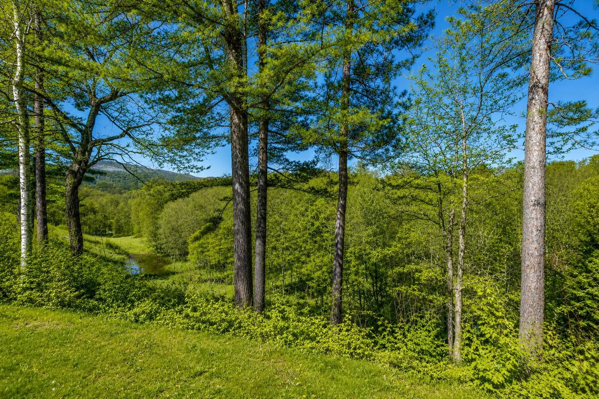 4 Vista Drive Ashland NH 03217