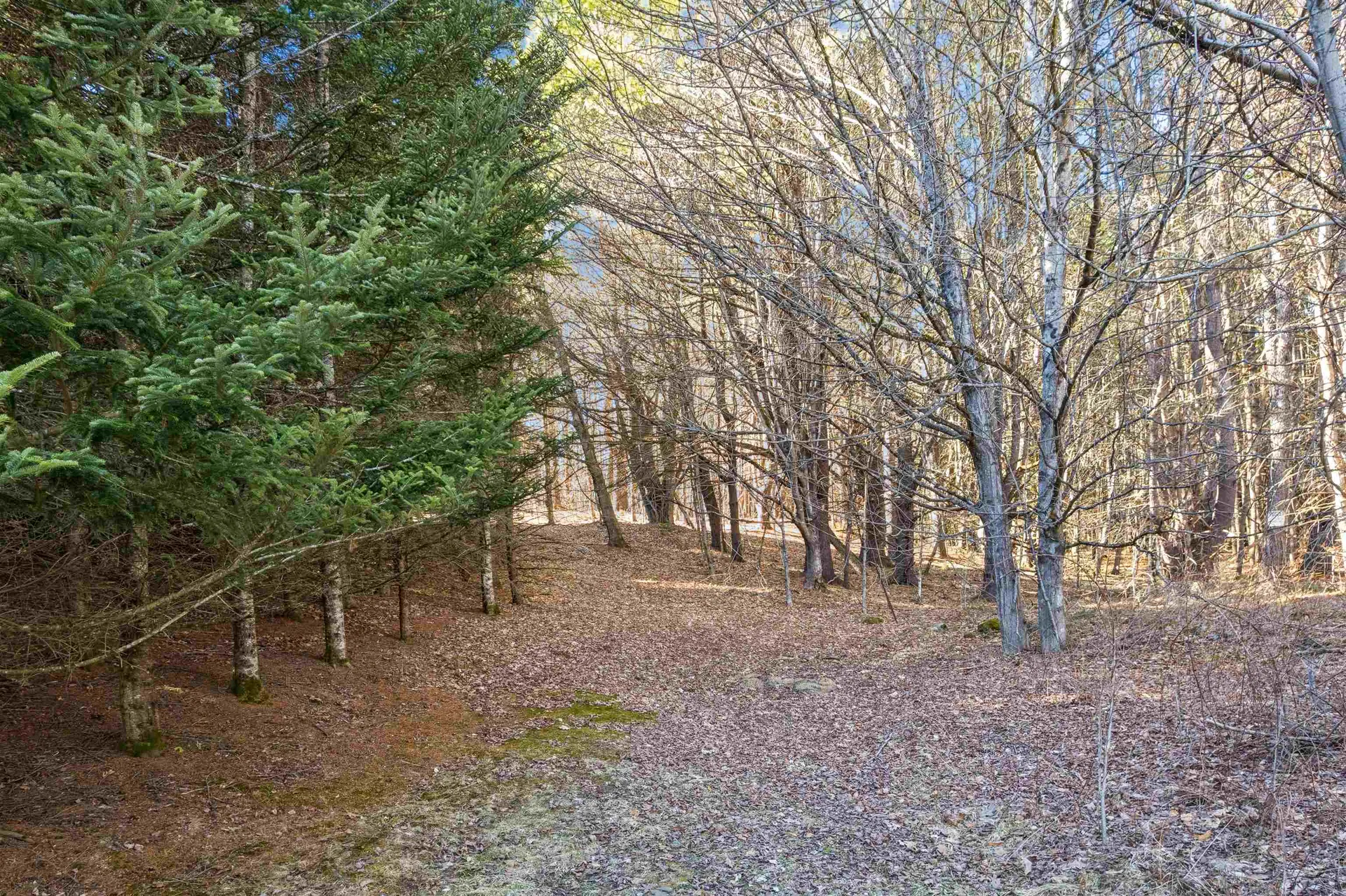 0 Labbie Lane Hartford VT 05001