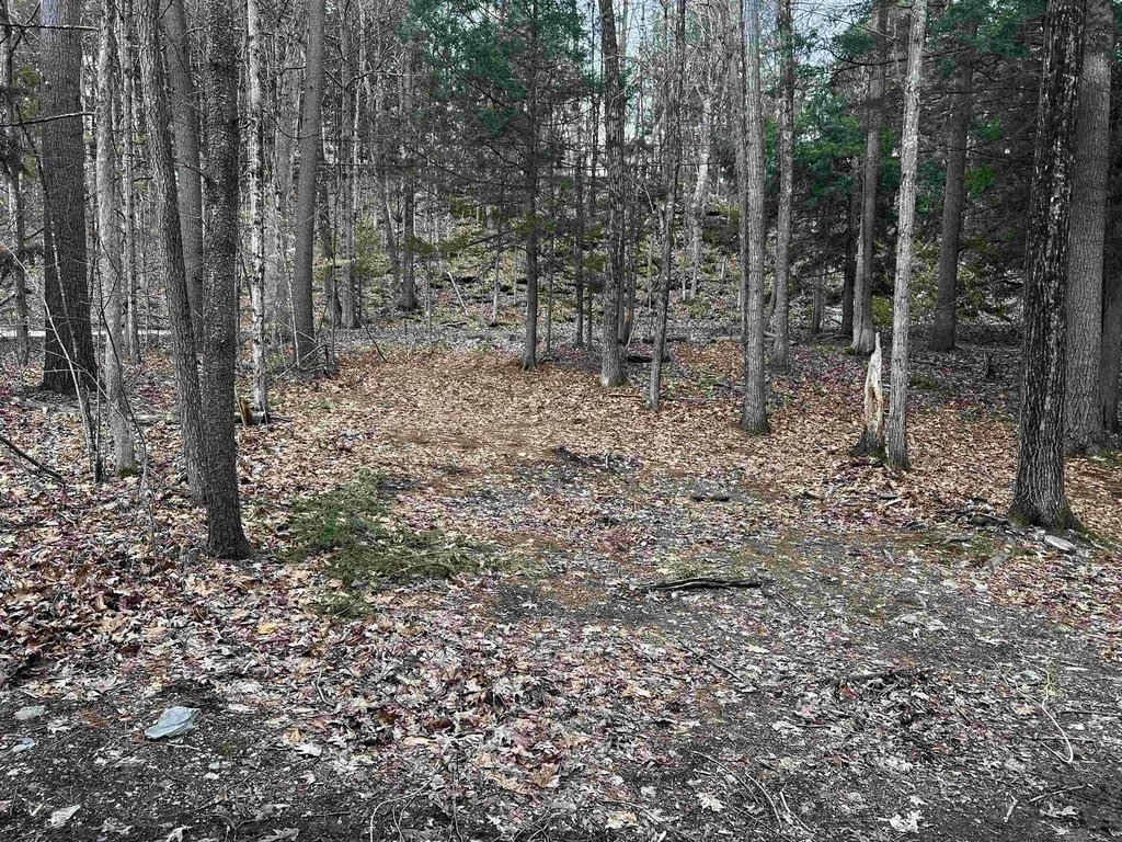 2243 West Lake Road Poultney VT 05774