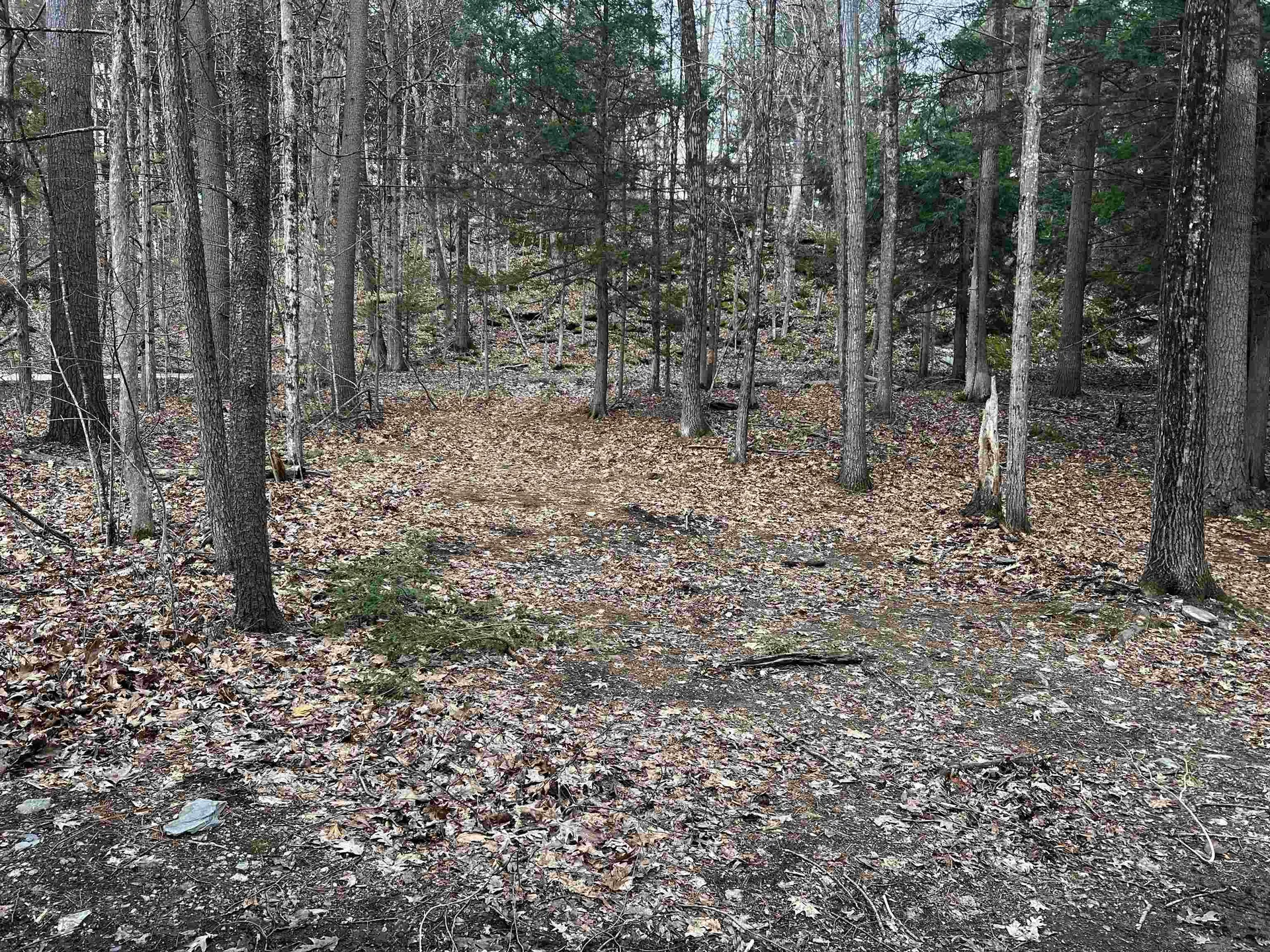 2243 West Lake Road Poultney VT 05774