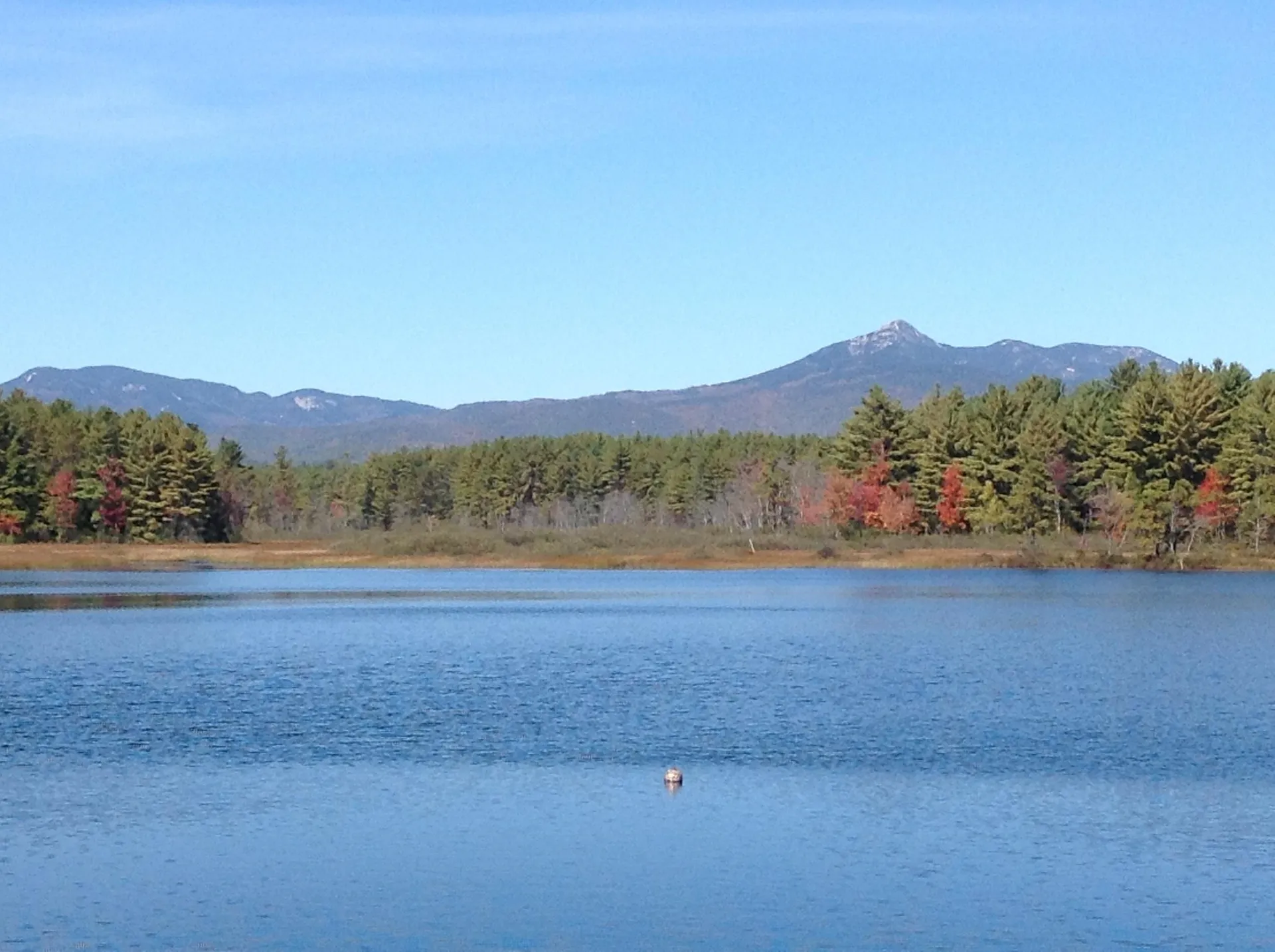 71 Mason Drive Tamworth NH 03886