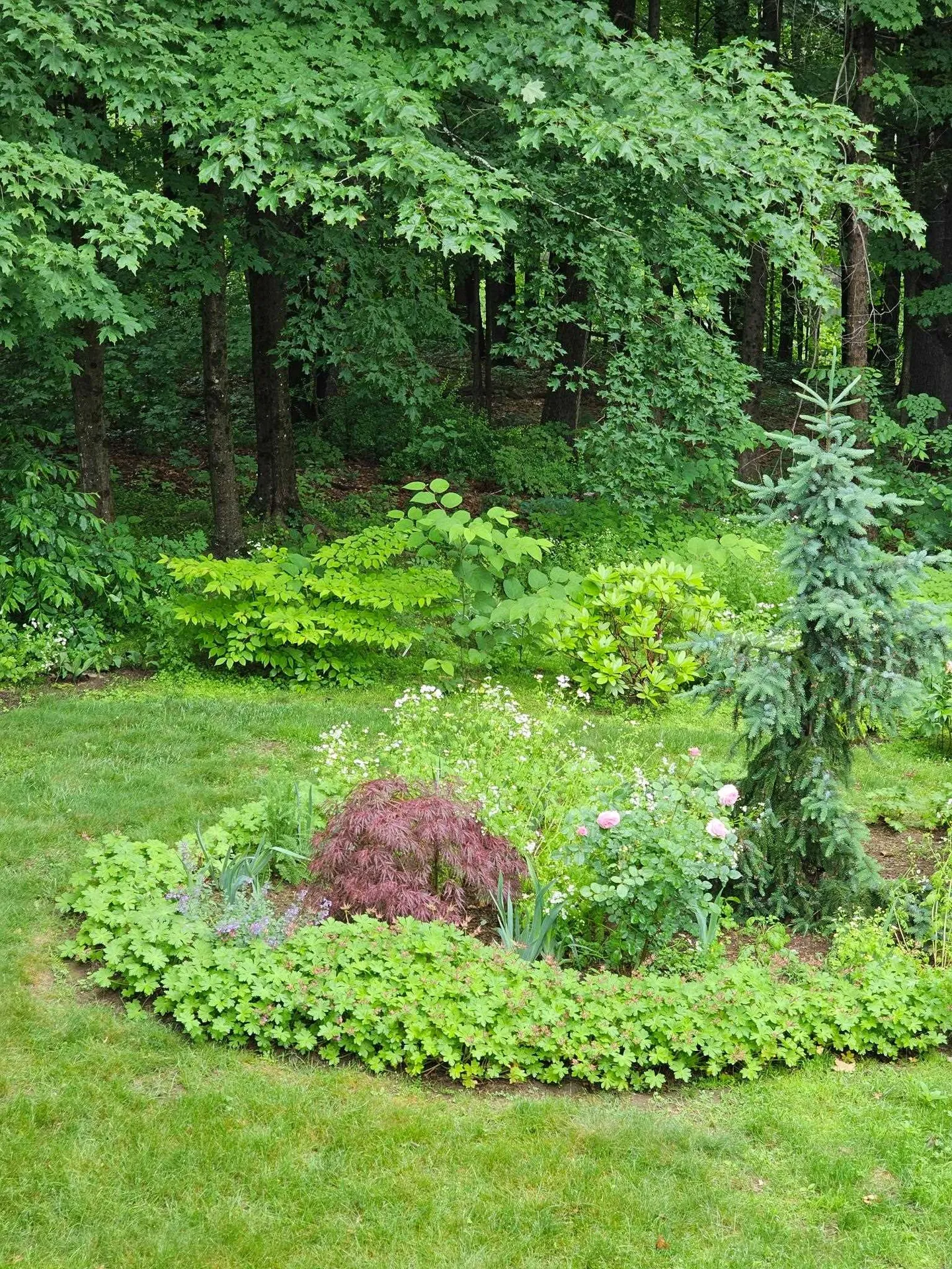 425 Pleasant Street Rollinsford NH 03869