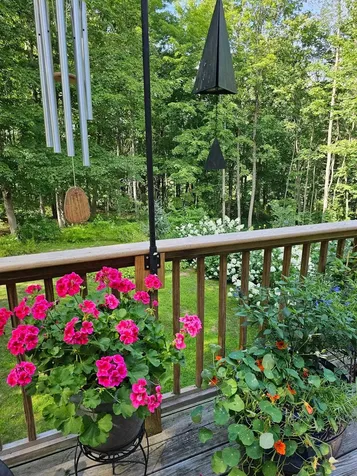 425 Pleasant Street Rollinsford NH 03869