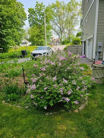425 Pleasant Street Rollinsford NH 03869