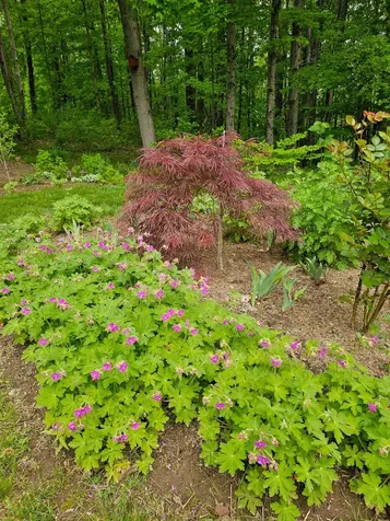 425 Pleasant Street Rollinsford NH 03869