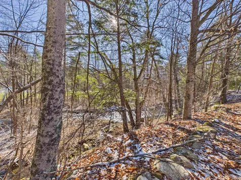 20 Pondview Road Chittenden VT 05737