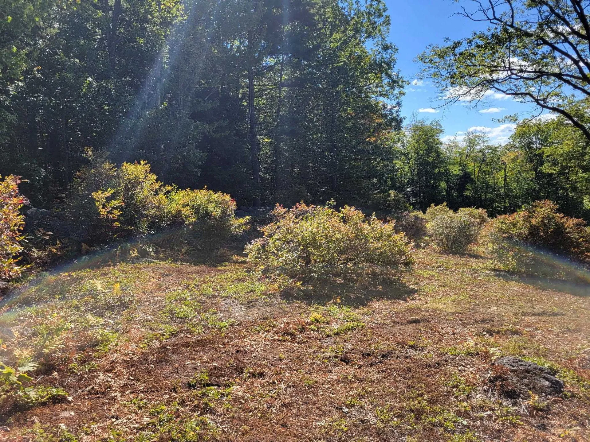52 Duncan Road Hancock NH 03449