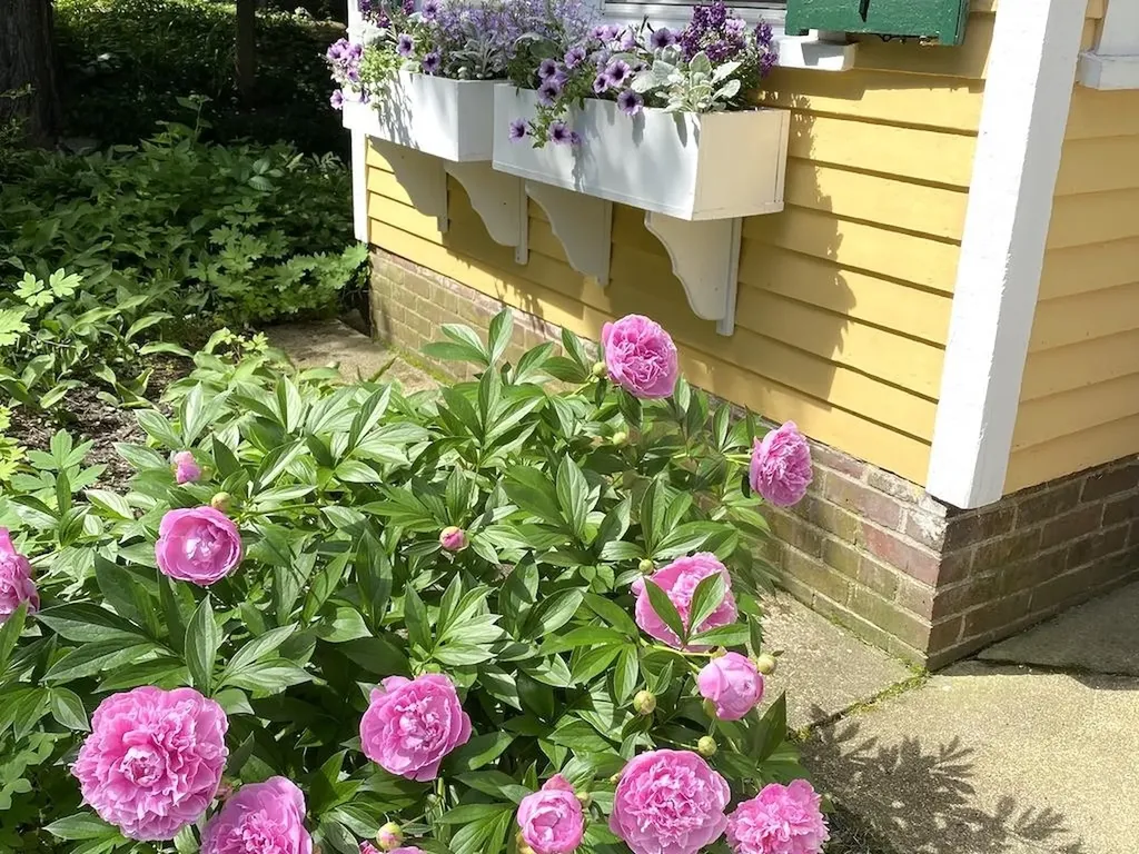27 Pine Street Peterborough NH 03458