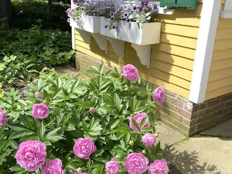 27 Pine Street Peterborough NH 03458