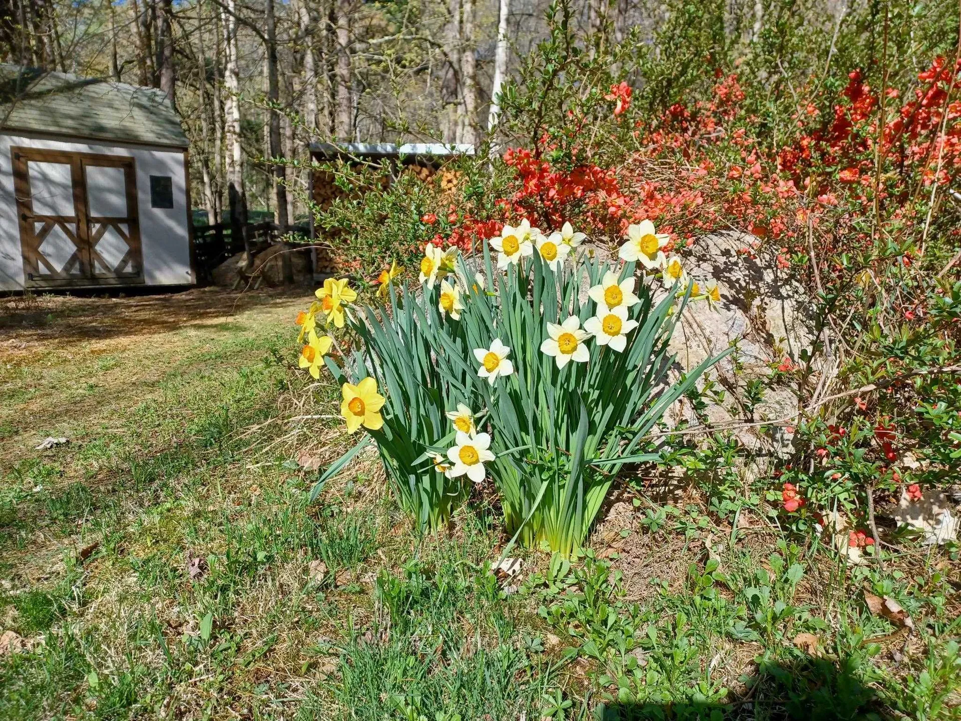 52 Mason Road Brookline NH 03033