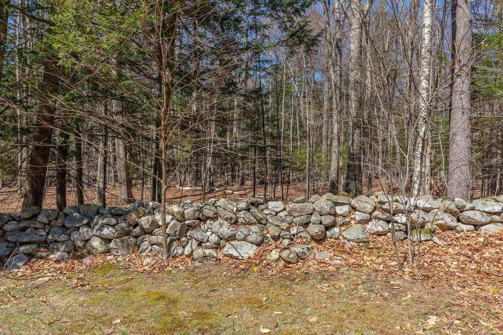 191 Pleasant Street Extension Dorset VT 05253