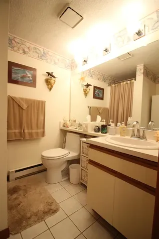 21 Tripyramid Way Waterville Valley NH 03215