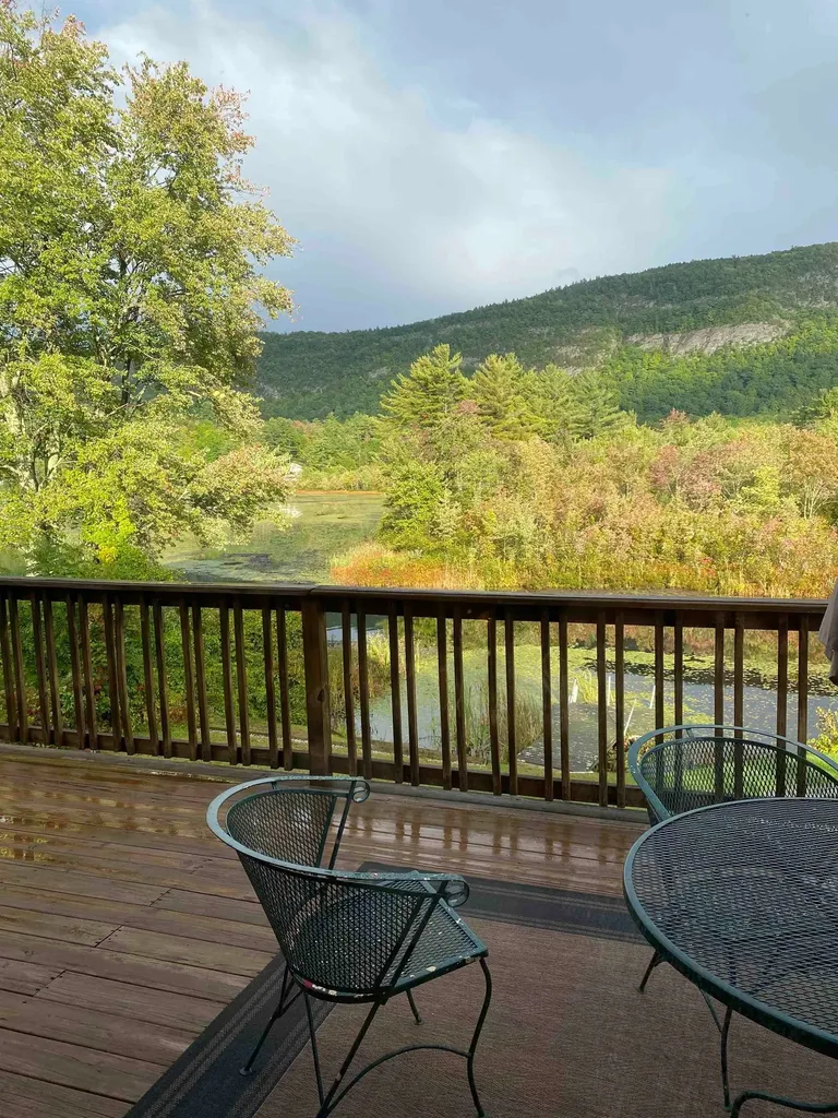 48 Western Shores Road Wells VT 05774