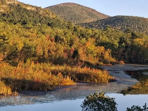 48 Western Shores Road Wells VT 05774